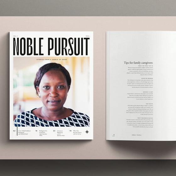 Noble Pursuit | Volume One: Heal